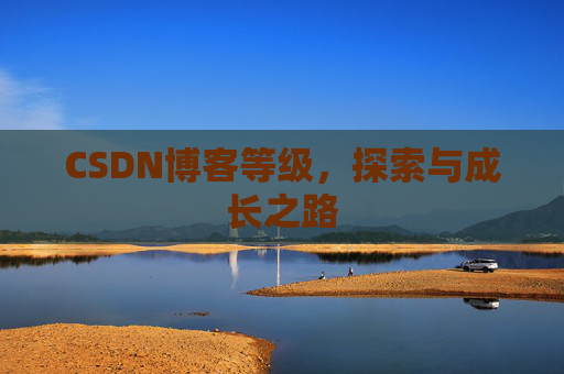 CSDN博客等级，探索与成长之路